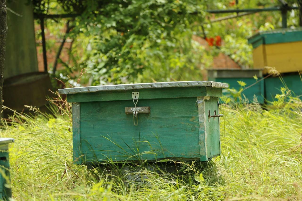 Beehives Apartment Kutaisi Exterior foto